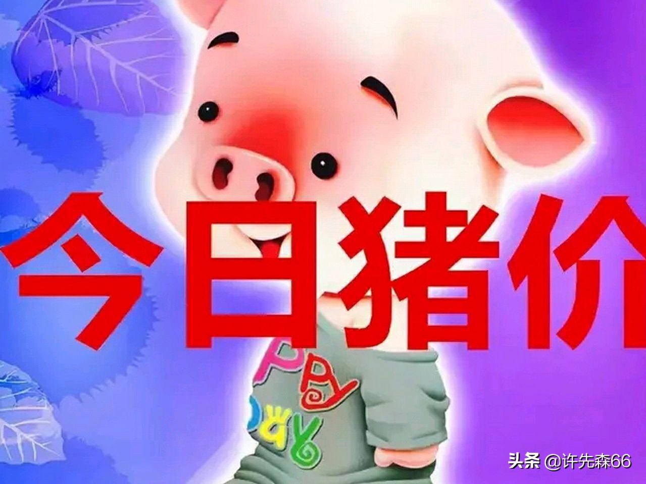娱乐生活 第65页
