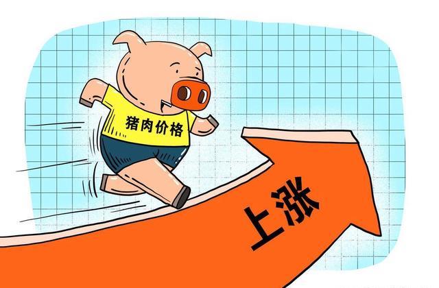 最新资讯 第46页