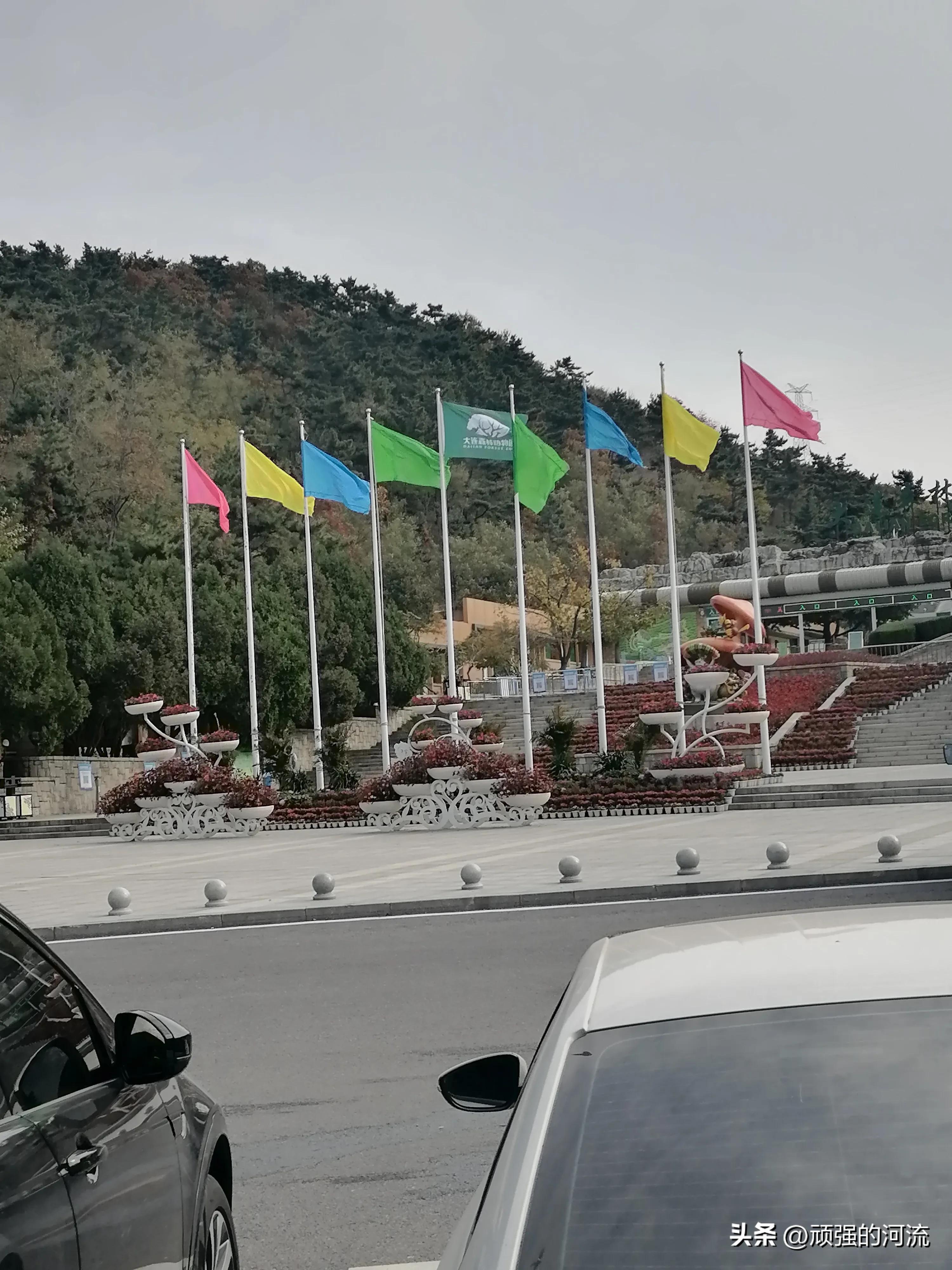 大连一观景台游客翻栏杆站悬崖拍照大连观景台游客冒险翻栏杆站悬崖拍照，安全警钟长鸣